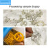 Mini Desktop Plastic Injection Machine Raw Material Forming