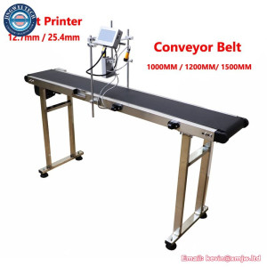 Automatic Online Inkjet Printer for Expiry Date/LOGO Coding