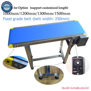 Stainless Steel Food Grade Bottle Conveyor Belt for Inkjet Printer