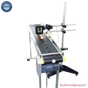 Production Line Bottle Egg Online Inkjet Printer with Conveyor Belt