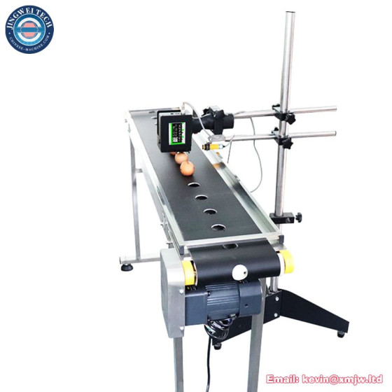Production Line Bottle Egg Online Inkjet Printer with Conveyor Belt