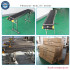 Production Line Bottle Egg Online Inkjet Printer with Conveyor Belt