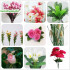 Vertical Artificial Flower Pattern Injection Molding Machine
