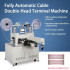 Automatic Double Head Cable Wire Cutting Stripping Crimping Machine